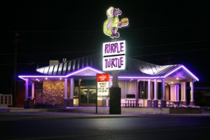 Purple Turtle Pleasant Grove Computer Repair